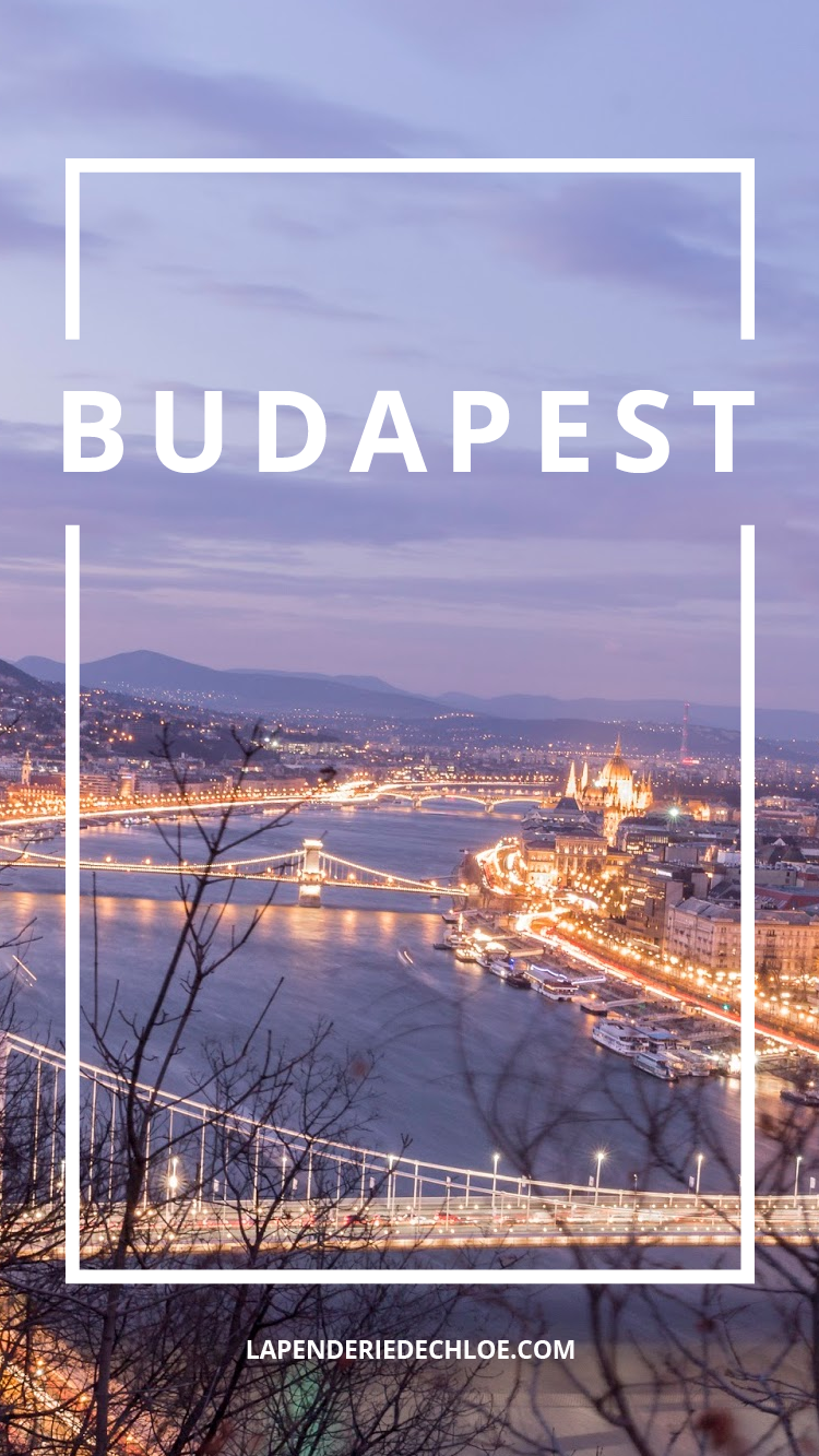 visiter découvrir Budapest Hongrie Pinterest